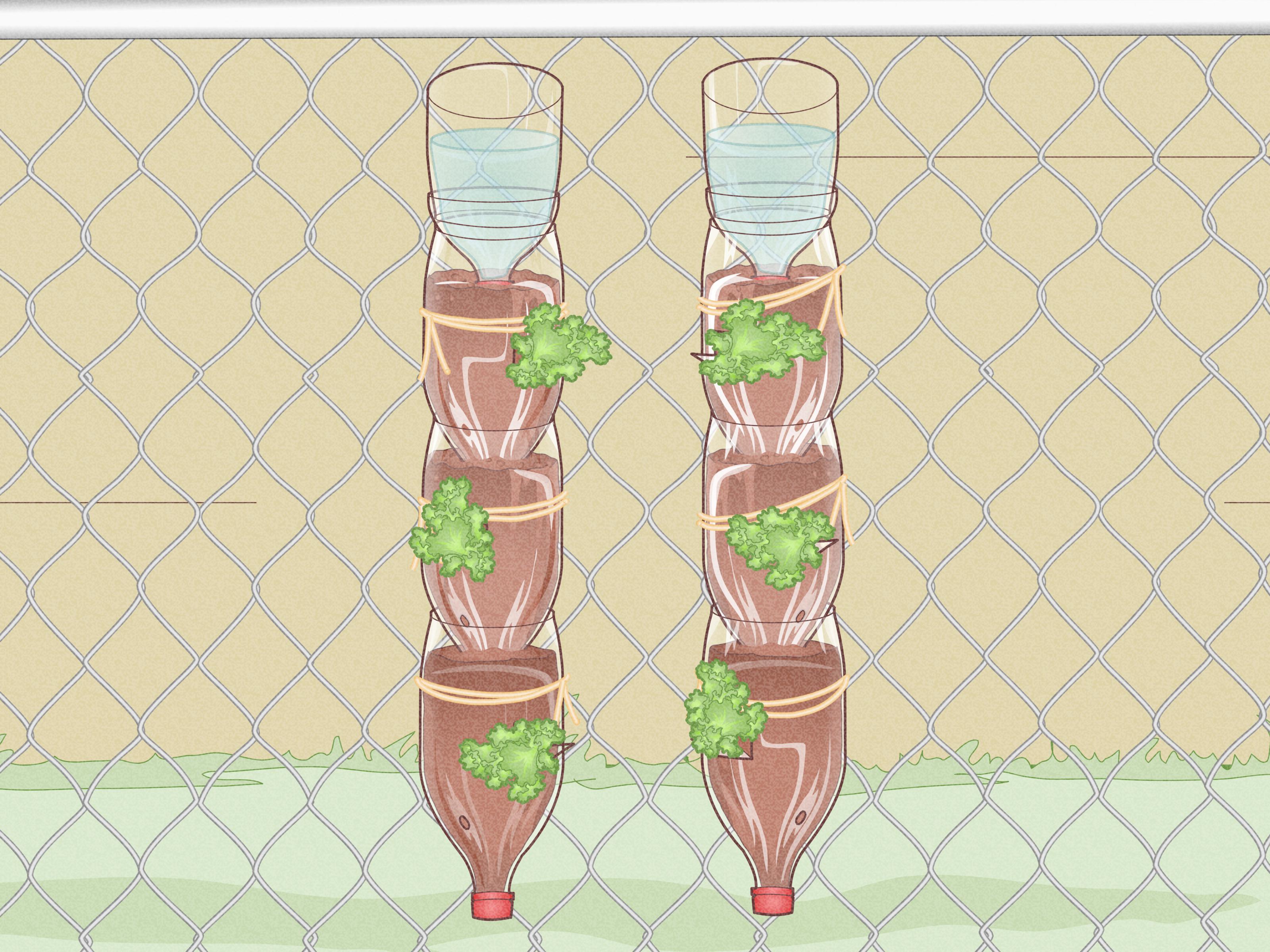 How to Build a Vertical Garden from Soda Bottles