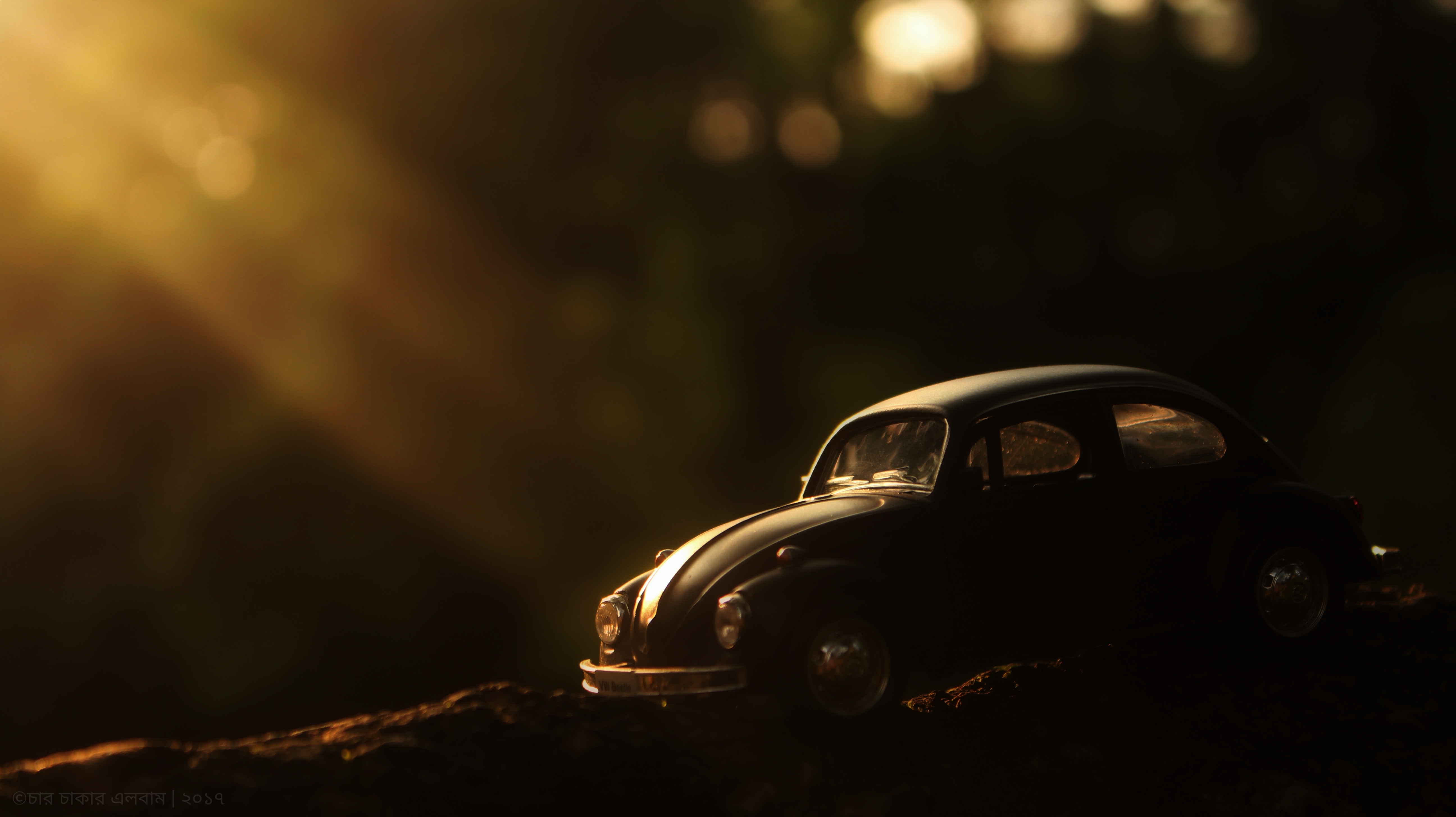 Love For The Bug! (Volkswagen Beetle)