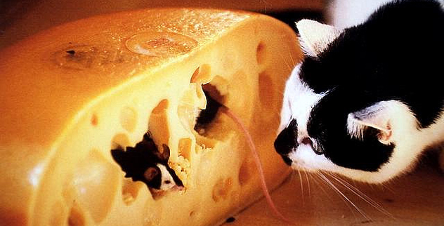 Top 10 Fascinating Facts About Cheese